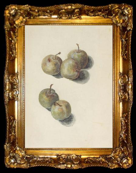 framed  Edouard Manet Etude de cinq prunes (mk40), ta009-2